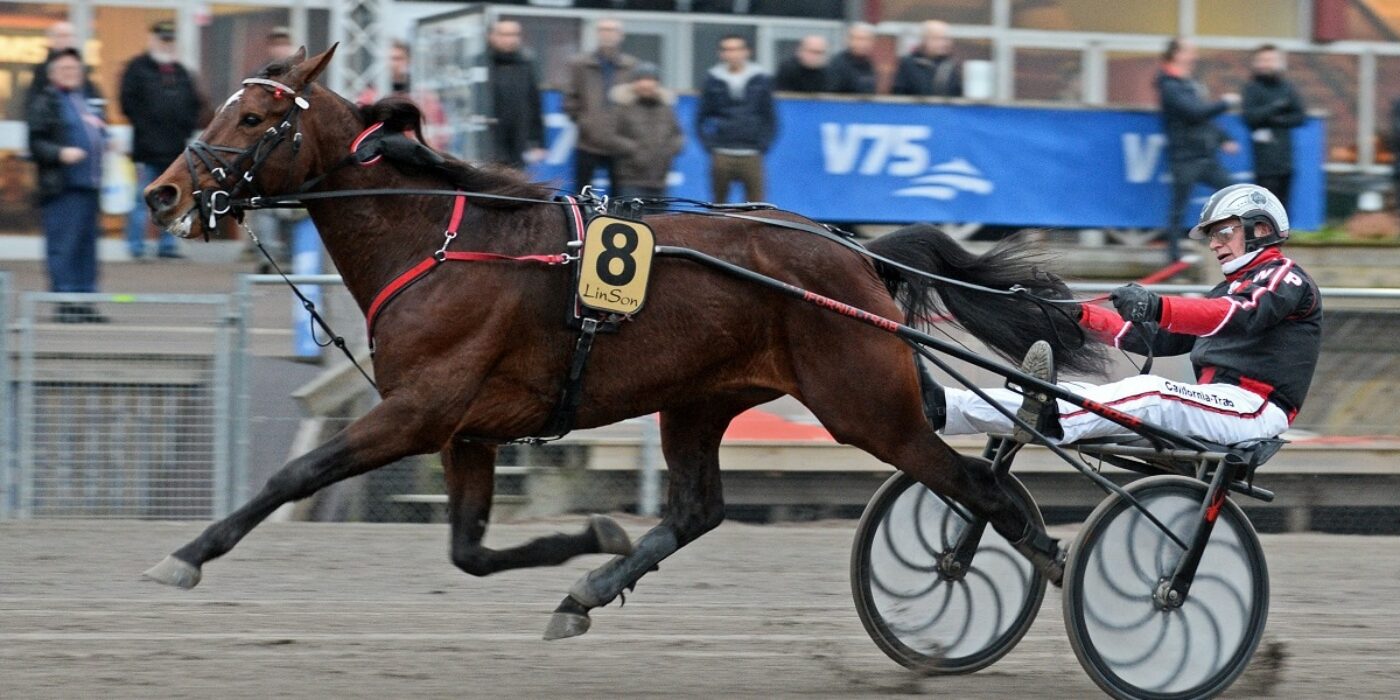 V75: Italiensk prägel i Halmstad