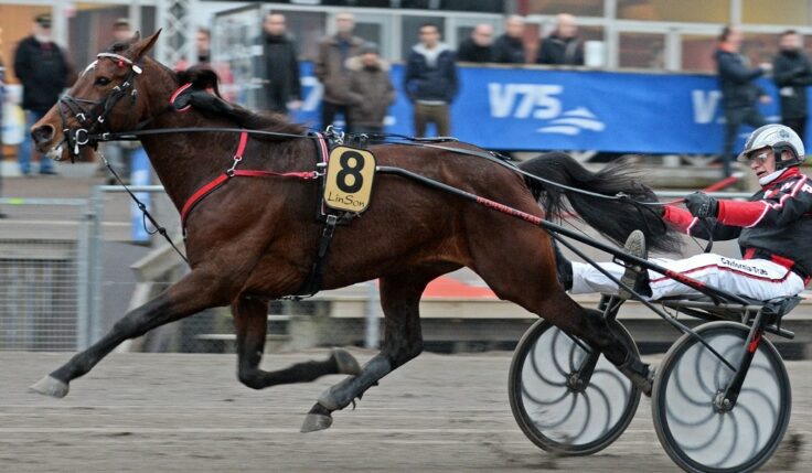 V75: Italiensk prägel i Halmstad