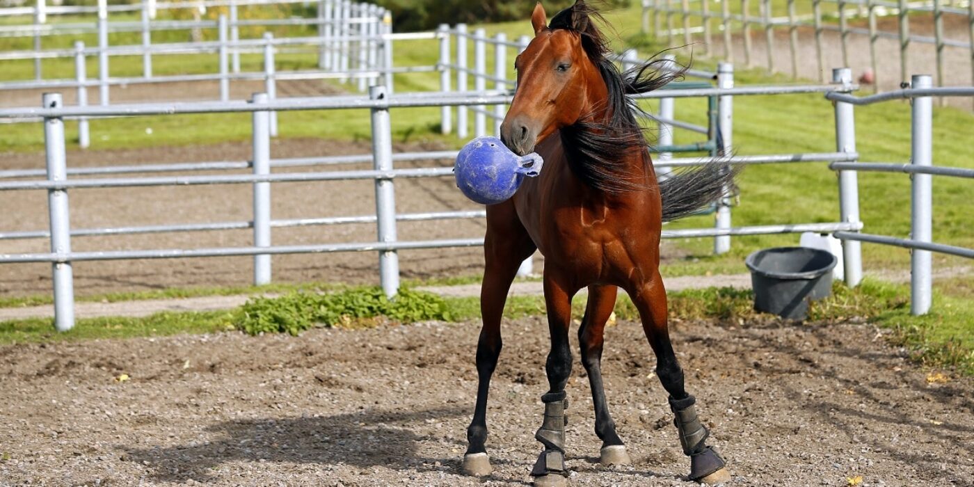 Readly Express slutar efter Elitloppet