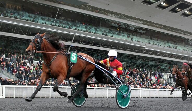 HÄR ÄR ALLA SOLVALLA CHAMPIONS