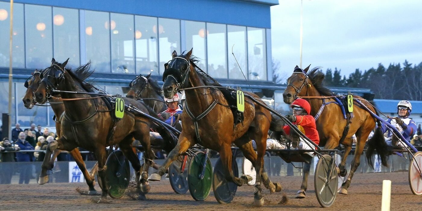 V75: Spelarna hade inte räknat med Kolgjini jr