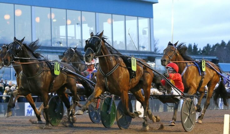 V75: Spelarna hade inte räknat med Kolgjini jr