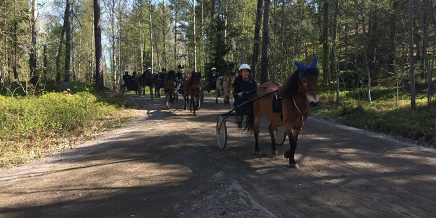 SOLVALLA TRAVSKOLA SÖKER EN NY LEDARE