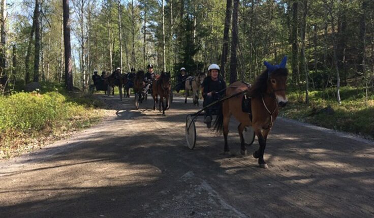 SOLVALLA TRAVSKOLA SÖKER EN NY LEDARE