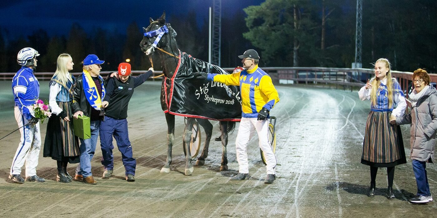 V75: On Track Piraten bästa varmblod på V75