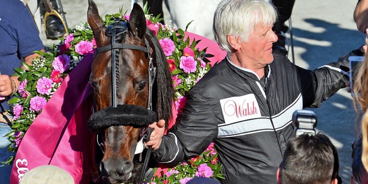 V86: Elitloppsvinnaren är tillbaka på Solvalla