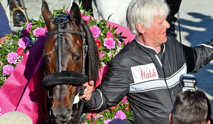 V86: Elitloppsvinnaren är tillbaka på Solvalla