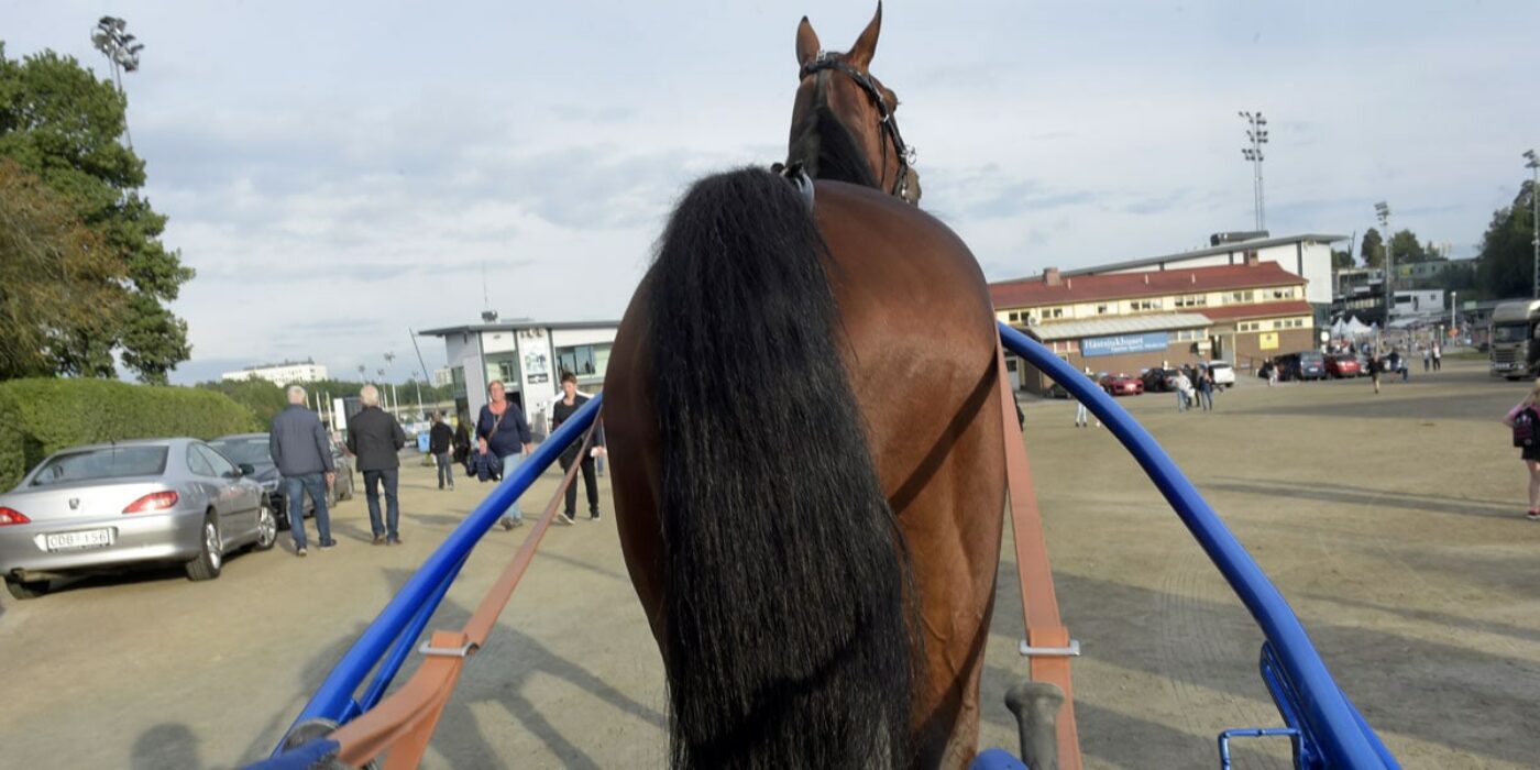 Vagninfo till dagens tävlingar