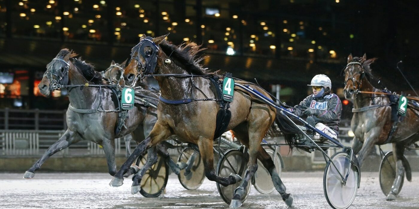 V64 Solvalla: Avelsboxen hägrar för segerstaplaren