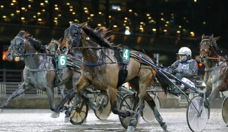 V64 Solvalla: Avelsboxen hägrar för segerstaplaren