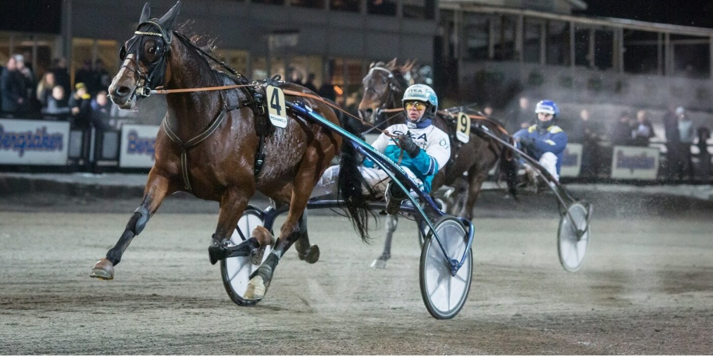 V75: Zenit Brick vill återta V75-tronen