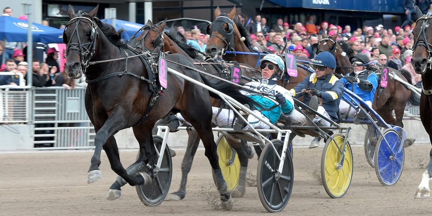 DON FANUCCI ZET KLAR FÖR ELITLOPPET 2023