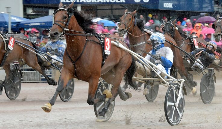 USAIN TÖLL KLAR FÖR ELITLOPPET 2023