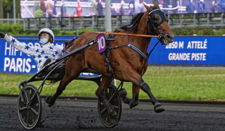 GO ON BOY KLAR FÖR ELITLOPPET 2023