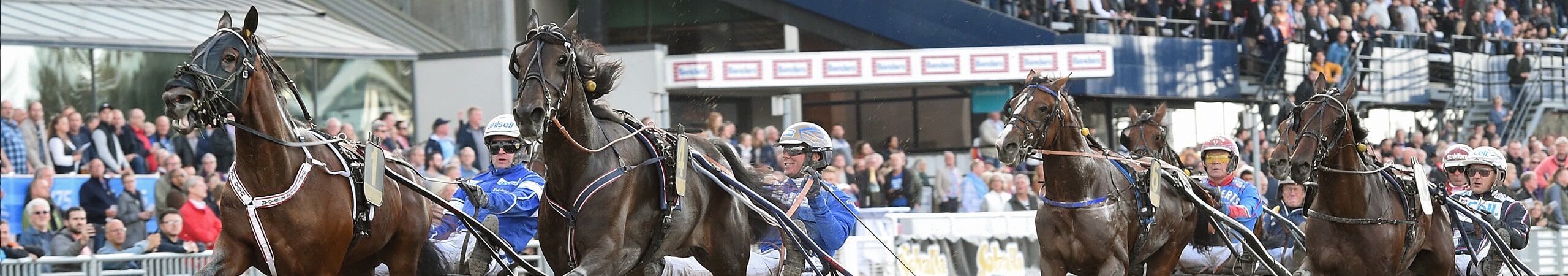 Jobba på Solvalla