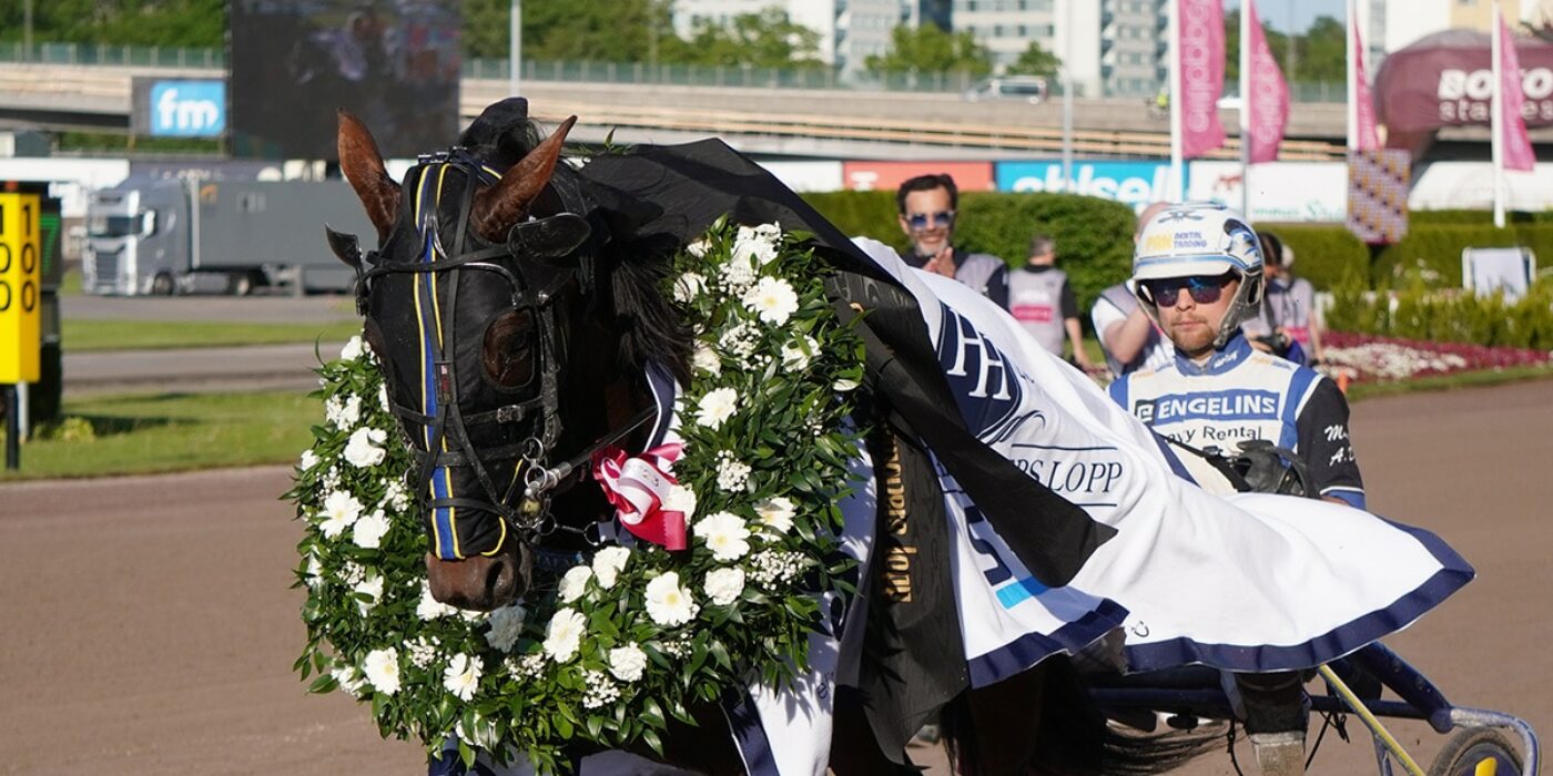 ERIC THE EEL TJUSADE STORPUBLIK