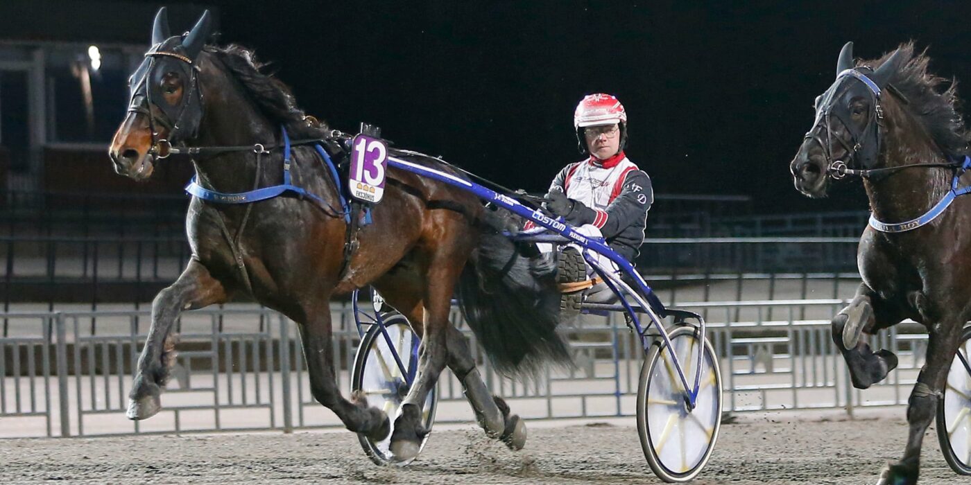 TRE NYA HÄSTAR KLARA FÖR ELITKAMPEN 2023