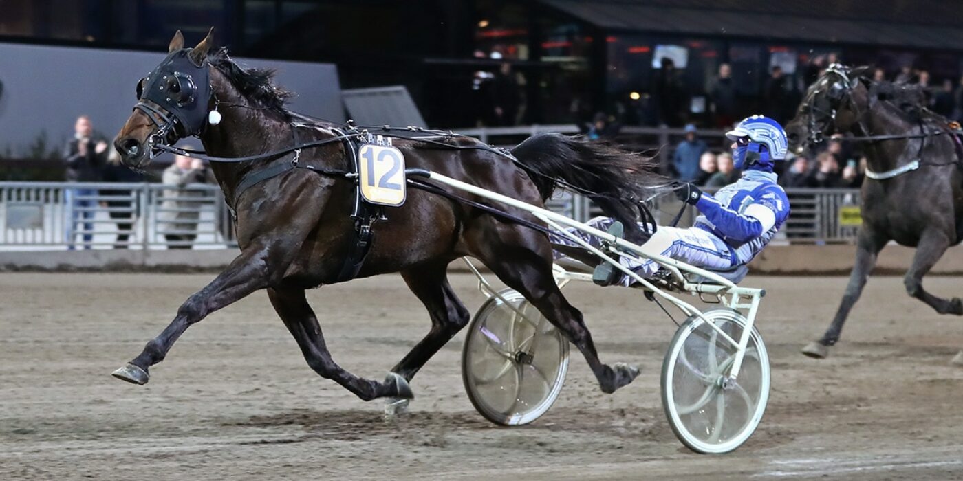 BEST OFDREAM TRIO TAR DEN SISTA PLATSEN TILL ELITLOPPET 2023