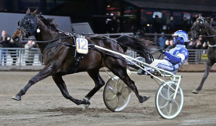 BEST OFDREAM TRIO TAR DEN SISTA PLATSEN TILL ELITLOPPET 2023