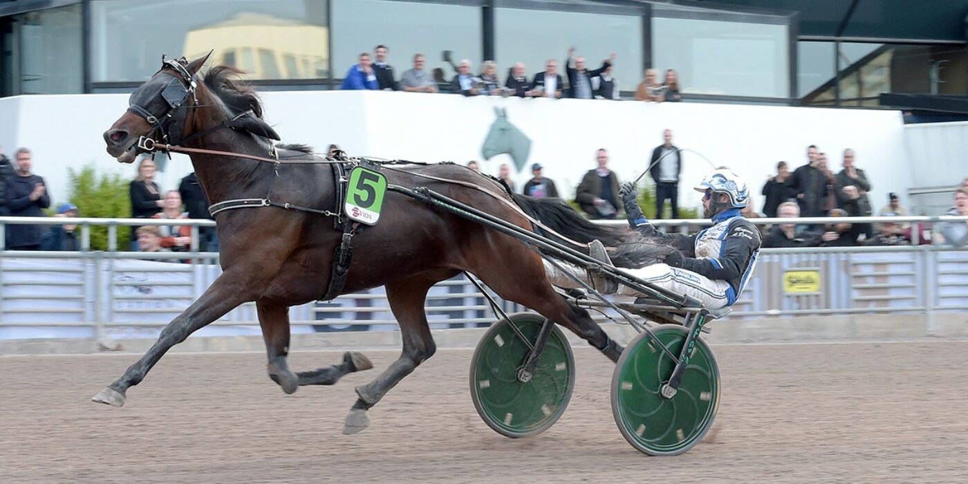 BROTHER BILL KLAR FÖR ELITLOPPET 2023