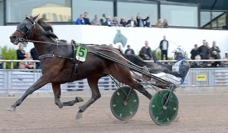BROTHER BILL KLAR FÖR ELITLOPPET 2023