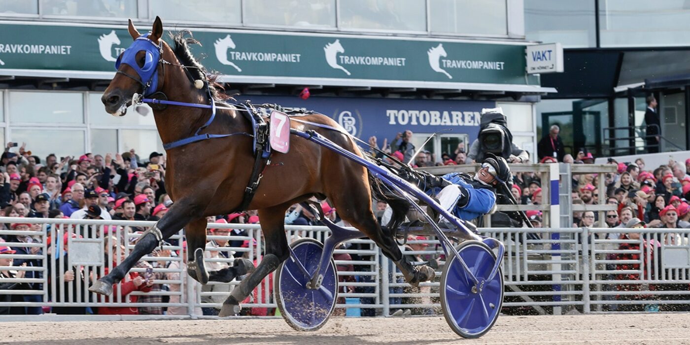 TITELFÖRSVARAREN ETONNANT KLAR FÖR ELITLOPPET 2023