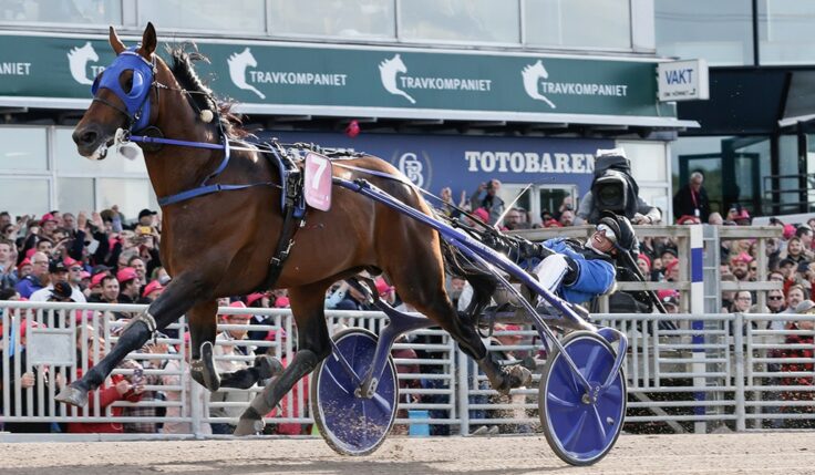 TITELFÖRSVARAREN ETONNANT KLAR FÖR ELITLOPPET 2023
