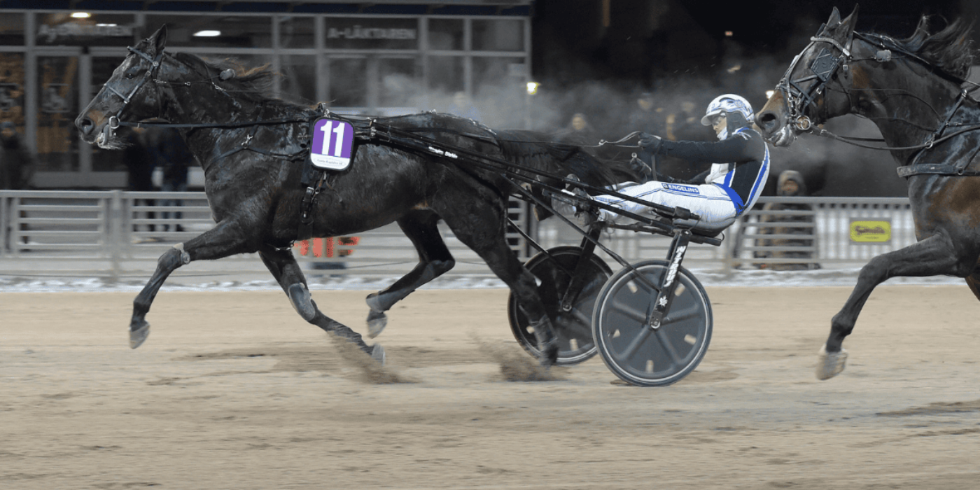 SOLVALLA BJUDER ALLA HÄSTÄGARE MED STARTANDE HÄST PÅ ANNANDAGEN PÅ NÅGOT ALLDELES EXTRA