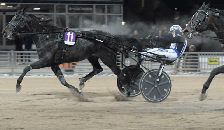 SOLVALLA BJUDER ALLA HÄSTÄGARE MED STARTANDE HÄST PÅ ANNANDAGEN PÅ NÅGOT ALLDELES EXTRA