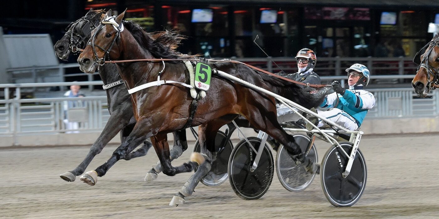 HAIL MARY KLAR FÖR ELITLOPPET 2023