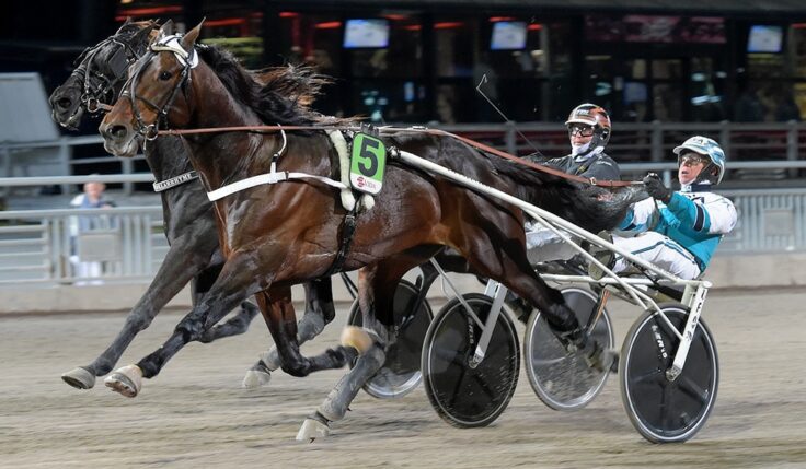 HAIL MARY KLAR FÖR ELITLOPPET 2023