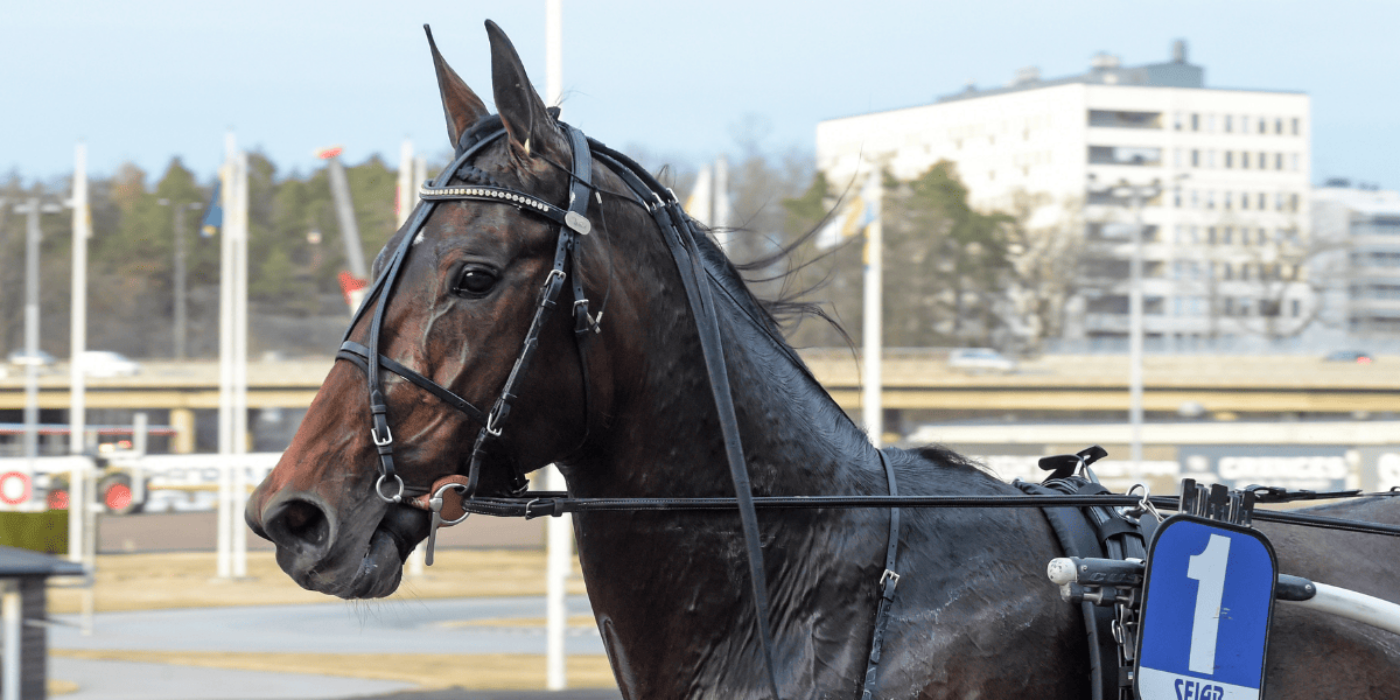 V75-FEST MED FRI ENTRÉ PÅ SOLVALLA