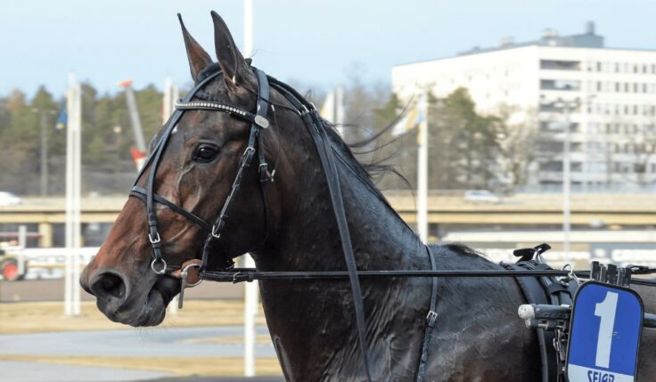 V75-FEST MED FRI ENTRÉ PÅ SOLVALLA