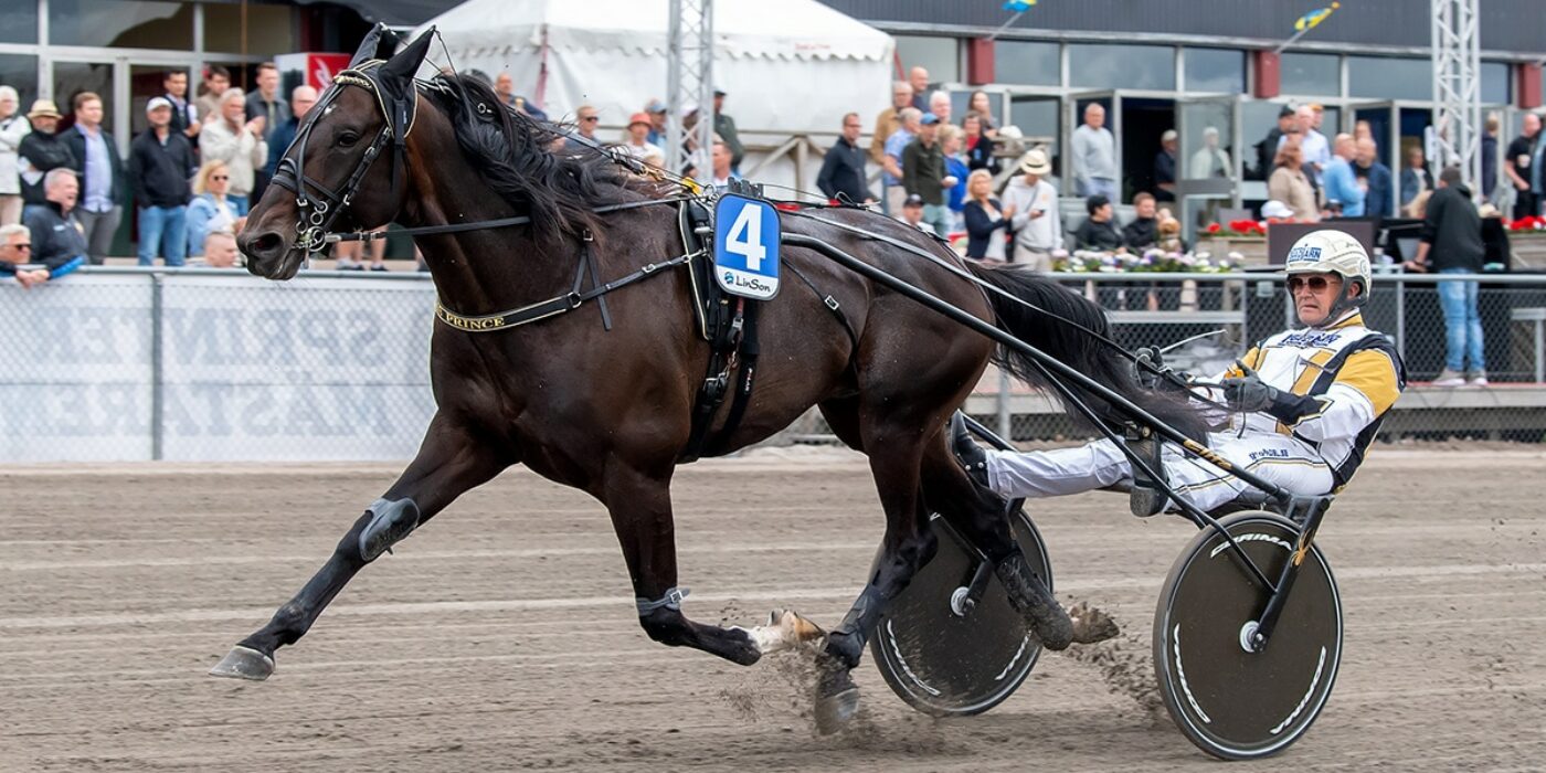ÖNAS PRINCE KLAR FÖR ELITLOPPET 2023