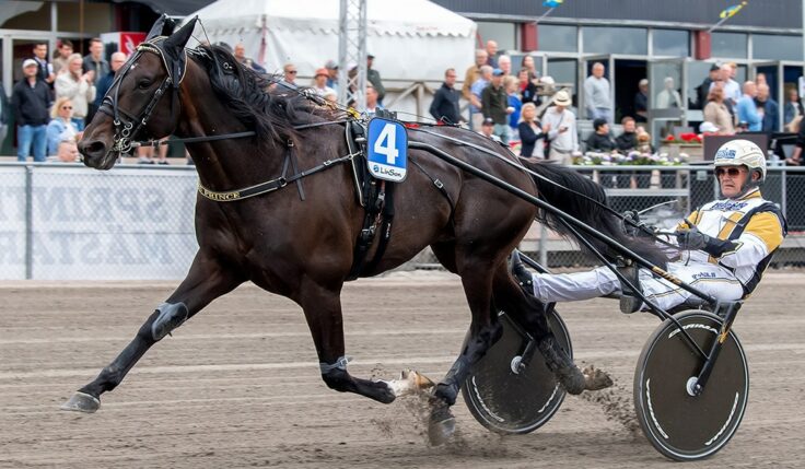 ÖNAS PRINCE KLAR FÖR ELITLOPPET 2023