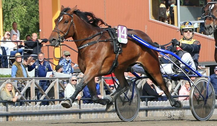TRE FÖRSTA HÄSTARNA KLARA TILL ELITKAMPEN 2023