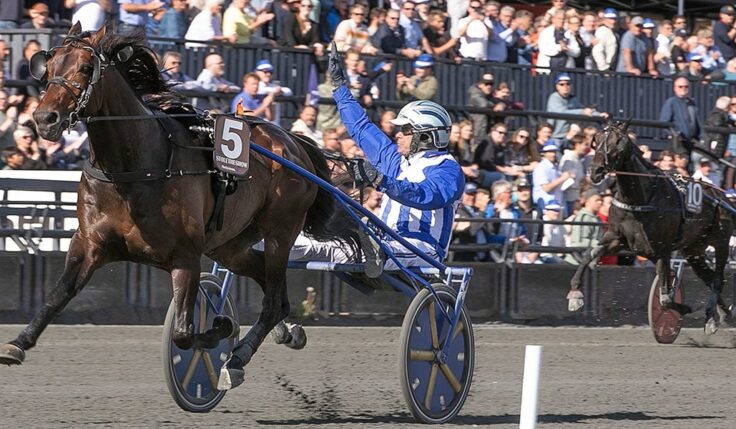 STOLETHESHOW KLAR FÖR ELITLOPPET 2023
