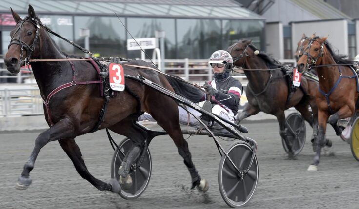 ULTION FACE KLAR FÖR ELITLOPPET 2023