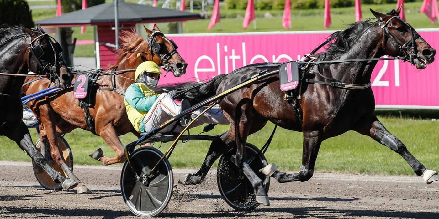 VIVID WISE AS KLAR FÖR ELITLOPPET 2023