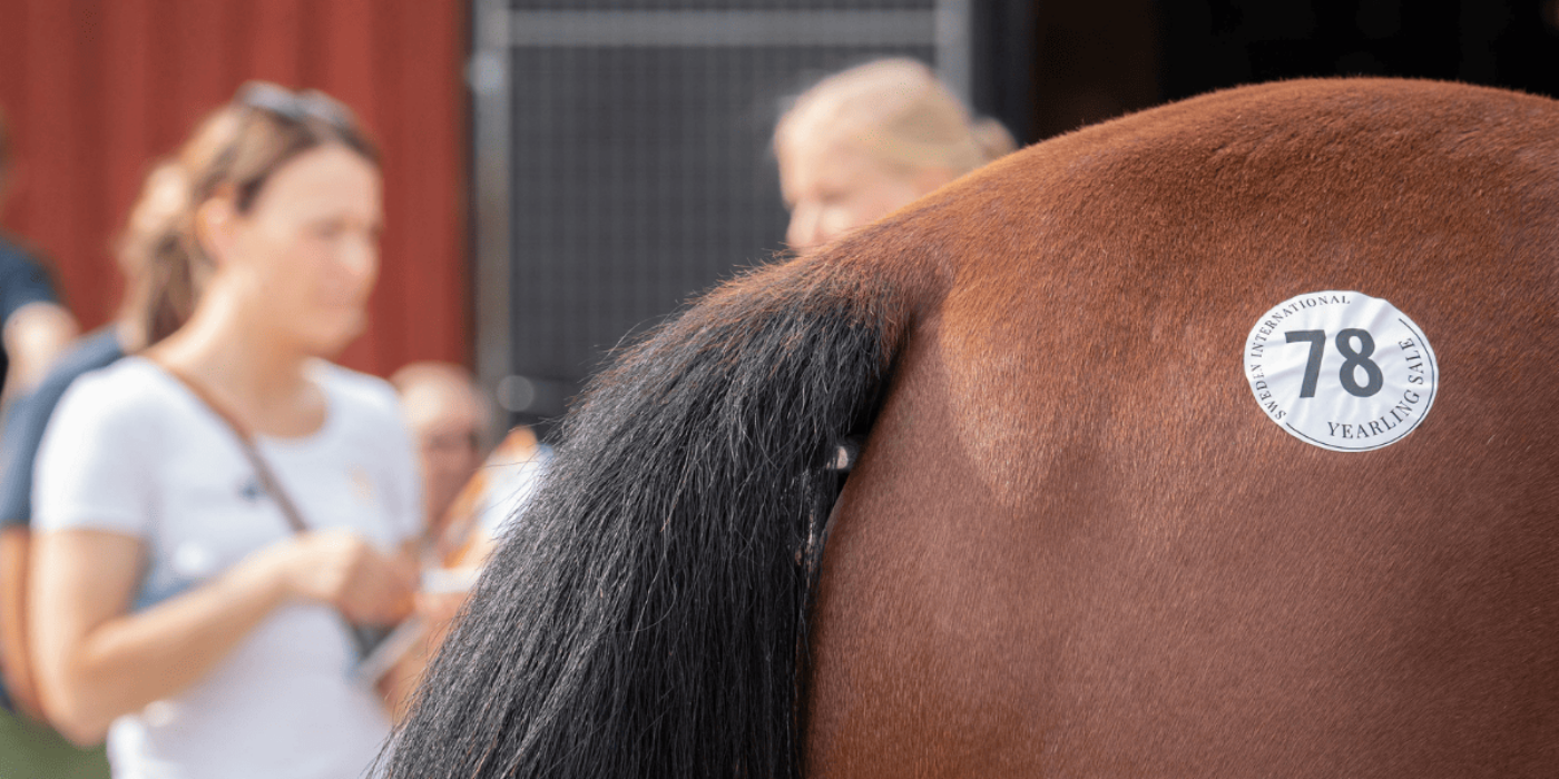 AUKTIONEN UNDER KRITERIEHELGEN LEVER VIDARE