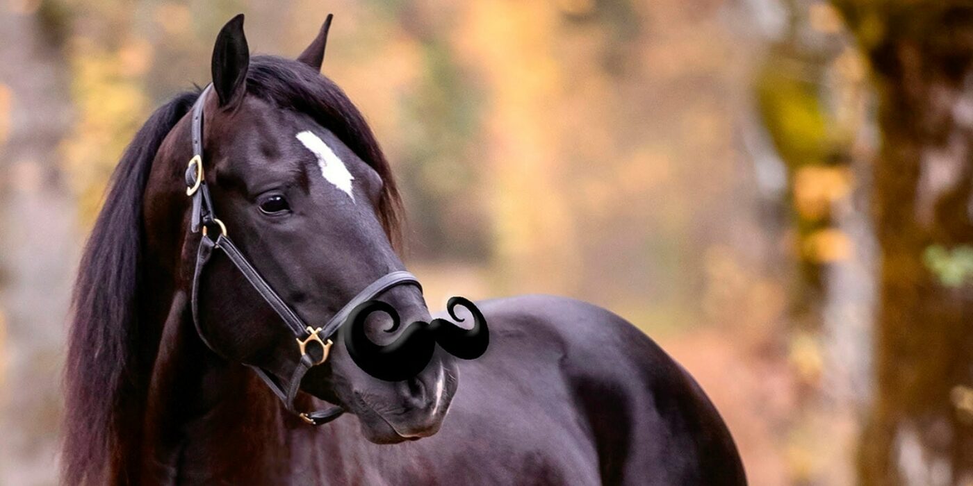 GORM DRAR PÅ SIG MUSTASCH I NY ROLL