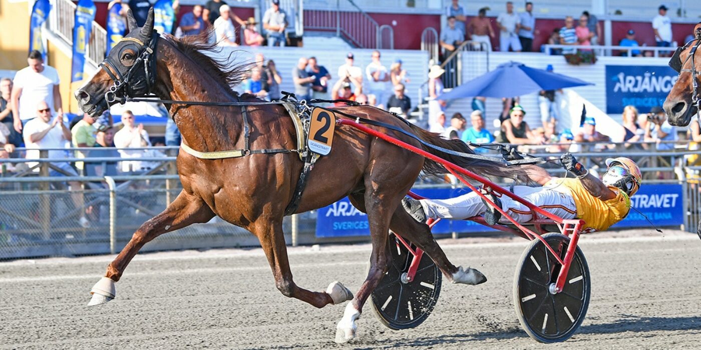 VERNISSAGE GRIF KOMMER TILL ELITLOPPET 2023