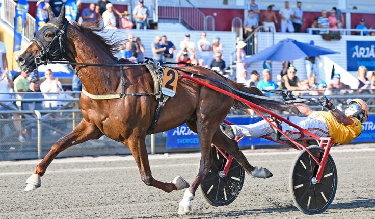 VERNISSAGE GRIF KOMMER TILL ELITLOPPET 2023