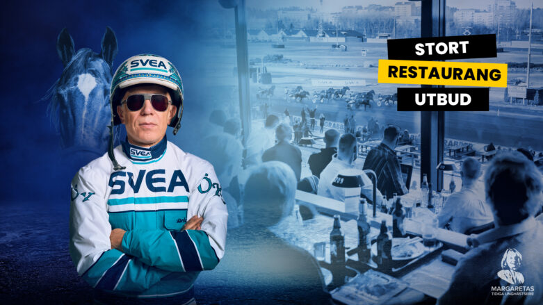 STL-finaler med V85®