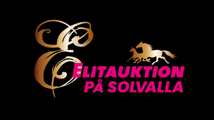Elitauktionen