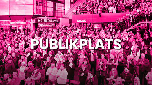 Entrébiljett publikplats