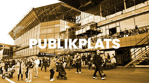 Entrébiljett publikplats
